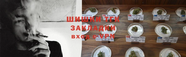 гашик Бронницы