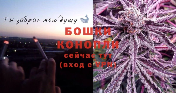 стафф Бородино