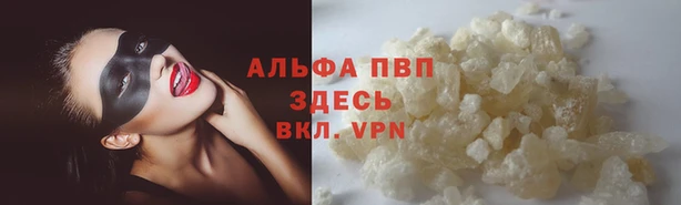 гашик Бронницы