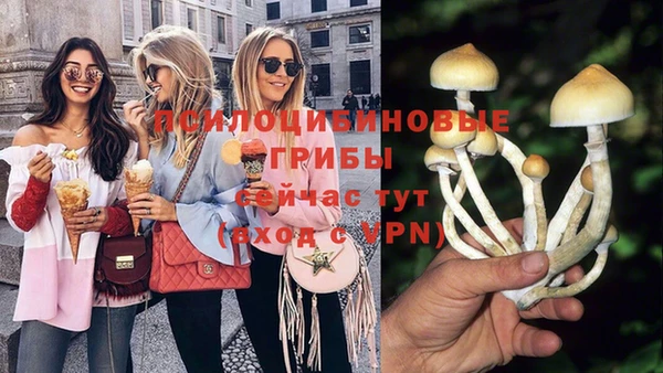 стафф Бородино